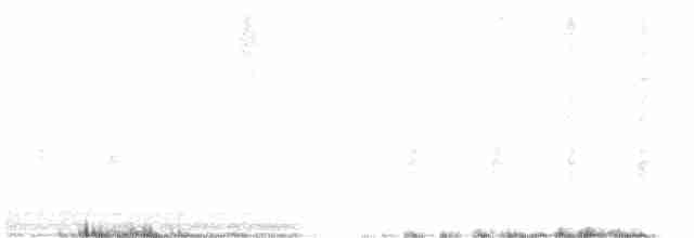 Eastern Olivaceous Warbler - ML258616451