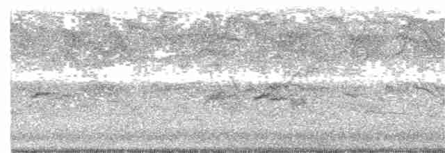歐洲椋鳥 - ML258618011
