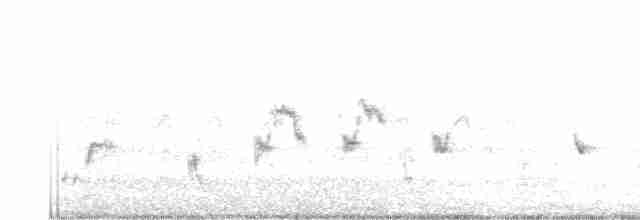 Australian Reed Warbler - ML258626371