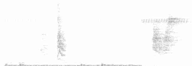 Beyaz Gerdanlı Tovi - ML258671041