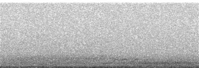 Plongeon huard - ML258752281