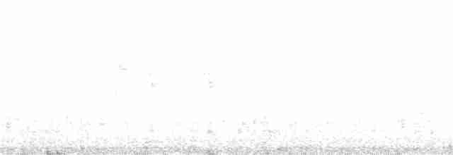 Колібрі-самоцвіт синьогорлий - ML258799601