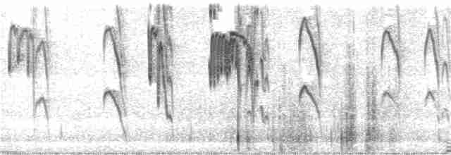 Исполинский колибри - ML258840381