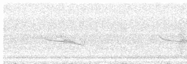 Band-winged Nightjar (Austral) - ML258855991