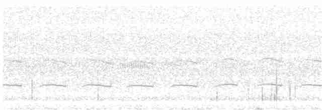 Band-winged Nightjar (Austral) - ML258856691