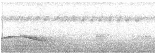 Puff-throated Babbler - ML258870661