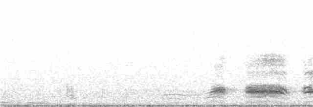 Морской голубок - ML258883441