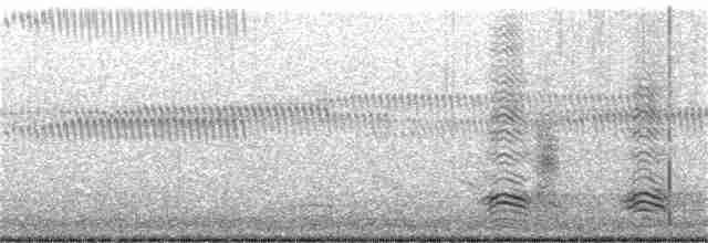 裏海燕鷗 - ML258964821