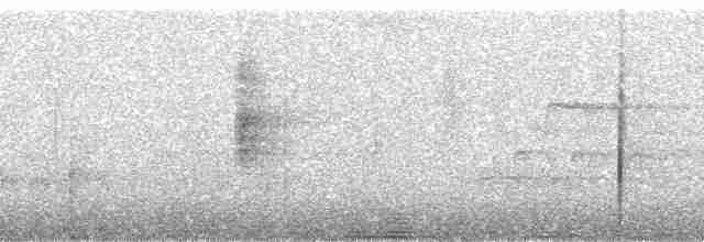 Дрізд-короткодзьоб андійський - ML258975