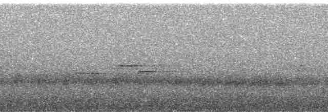 svarthodeskogtrost - ML258988