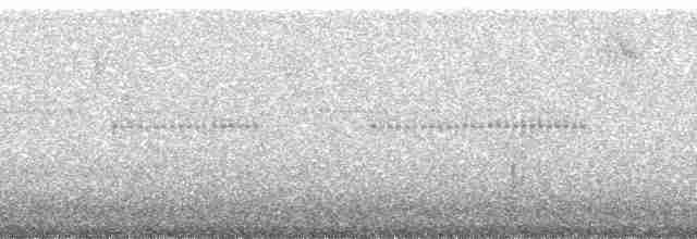 Поплітник смугастощокий - ML258990