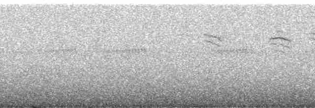 svartkronetanagar - ML258991