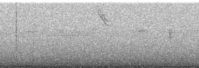 svartkronetanagar - ML258992