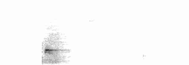 Small-billed Tinamou - ML259080601