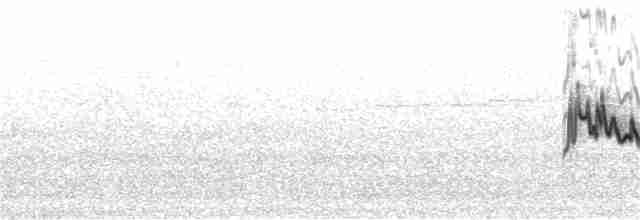 Graumantel-Brillenvogel - ML259111961