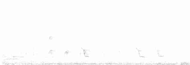 White-eared Honeyeater - ML259154031