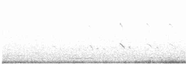 Common Redshank - ML259157481