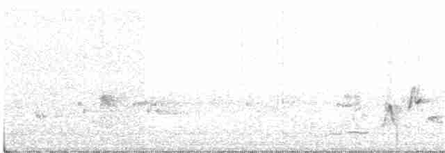 Manchurian Bush Warbler - ML25921181