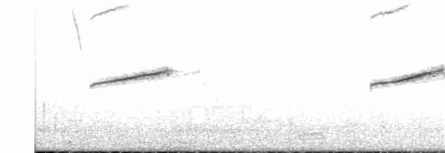 Горихвістка водяна - ML25921191