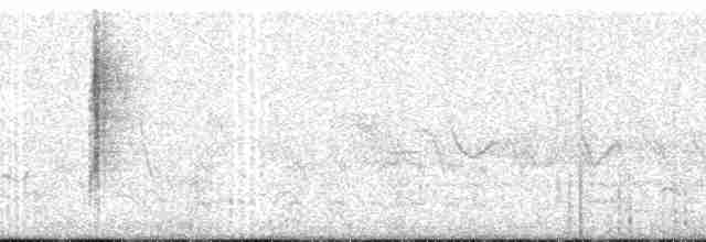 Тиранчик-довгохвіст білогорлий - ML259239