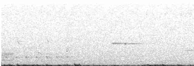 Spotted Quail-thrush - ML259379551