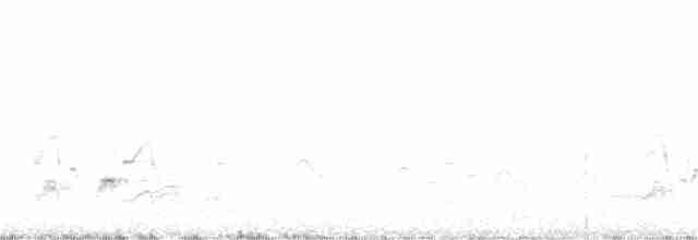 Серогрудый тиранн - ML259397631