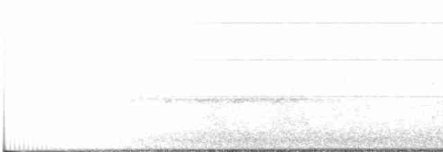 Gray Fantail (alisteri) - ML259398261