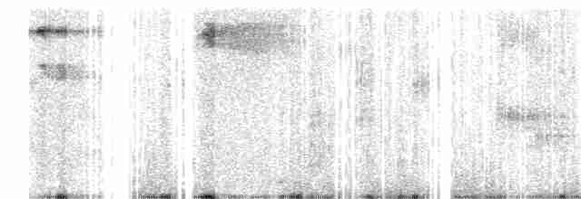 strakapoud hnědohlavý - ML259409091
