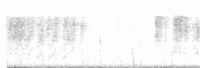 Rotschnabel-Sonnenvogel - ML259434871