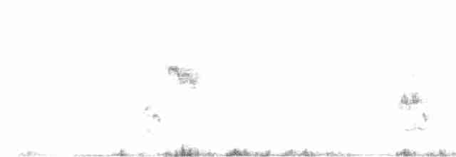 Loggerhead Shrike - ML259526841