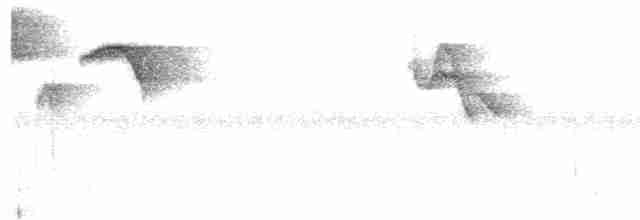 White-naped Brushfinch - ML259643461