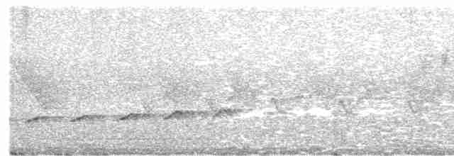 Fork-tailed Drongo-Cuckoo - ML259659481