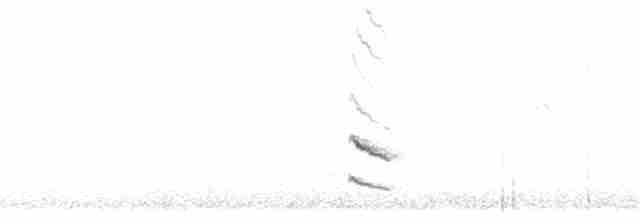 Mérulaxe de Tschudi - ML259707891
