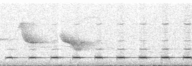 Сичик-горобець андійський - ML259748