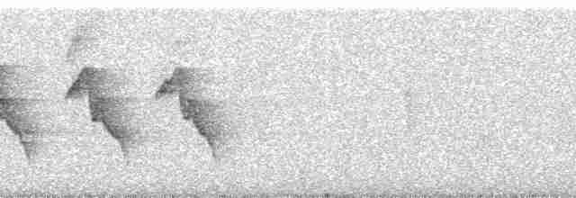 Bıyıklı Çalı Serçesi - ML259774