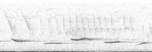 Трупіал чорнокрилий - ML259778
