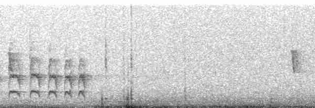 Kundinamarka Dikenkuyruğu - ML259788
