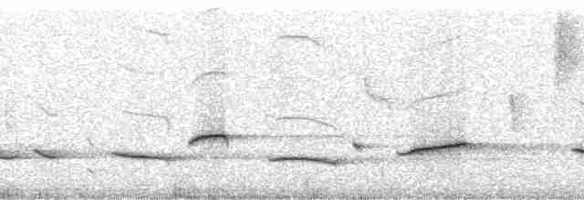 Трупіал чорнокрилий - ML259792