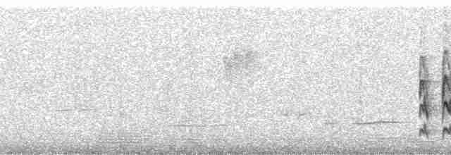Kundinamarka Dikenkuyruğu - ML259793