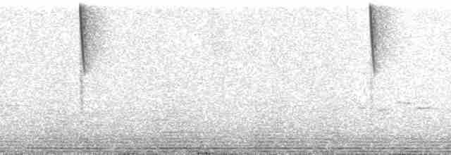 Бледнохвостый венценосец - ML259844