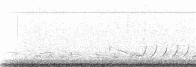 jeřáb kanadský (ssp. tabida/rowani) - ML25989251