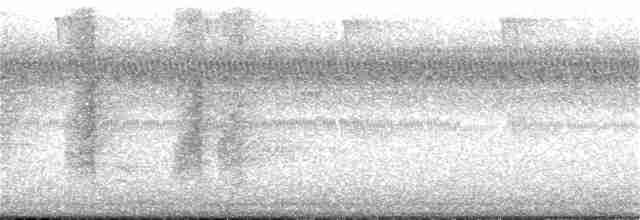 Поплітник каролінський - ML259954151