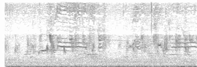 vlhovec červenokřídlý - ML260012611
