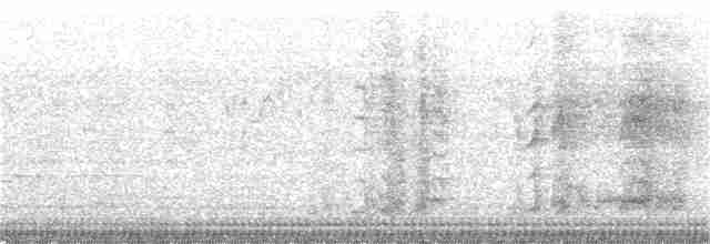 Sudandrosselhäherling - ML260119001