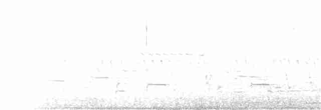 Uzun Gagalı Kervançulluğu - ML260125241