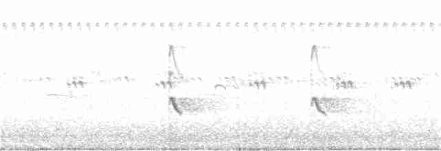 Коловодник жовтоногий - ML260125611