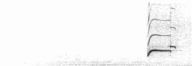 חרמשון ארוך-מקור - ML260136361
