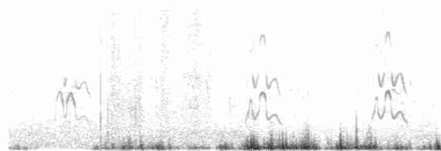 Short-tailed Shearwater - ML26013931