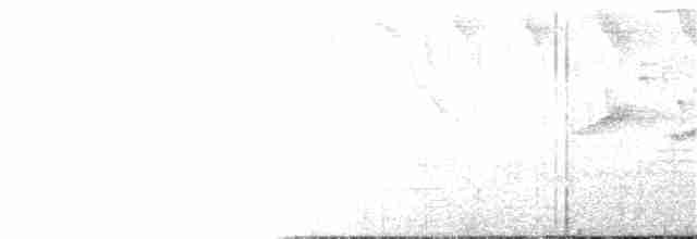 Листовик бурий (підвид andinus) - ML26014401
