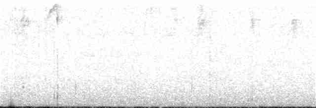 マミジロフタスジタイランチョウ - ML26015271